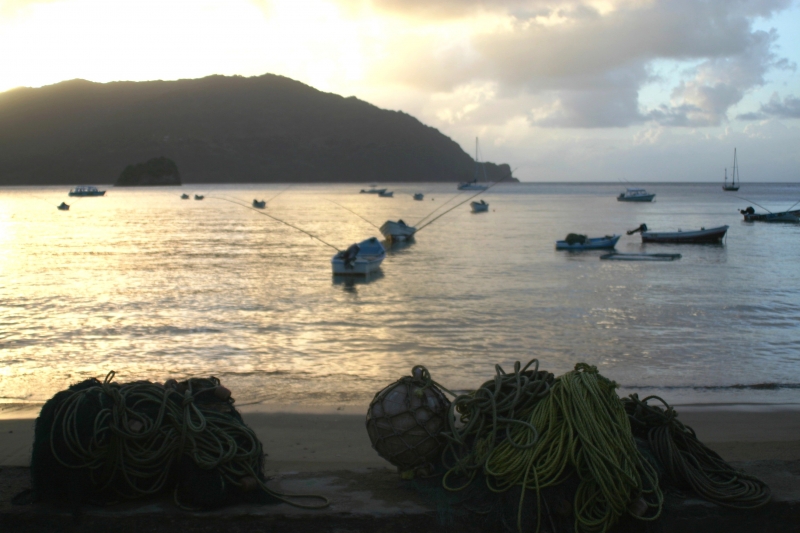 Tobago - Charlotteville (14)