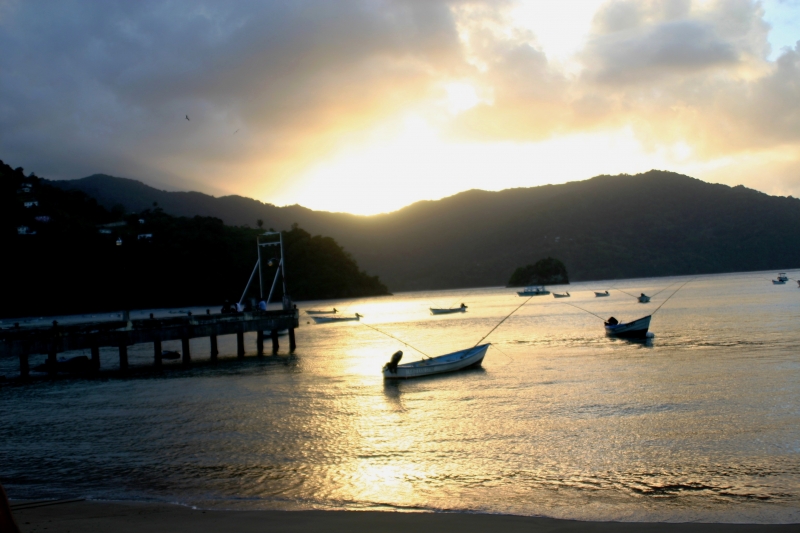 Tobago - Charlotteville (15)