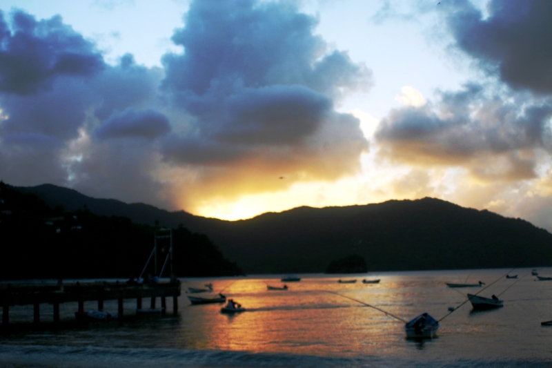 Tobago - Charlotteville (17)