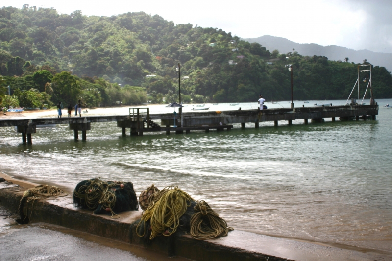 Tobago - Charlotteville (18)