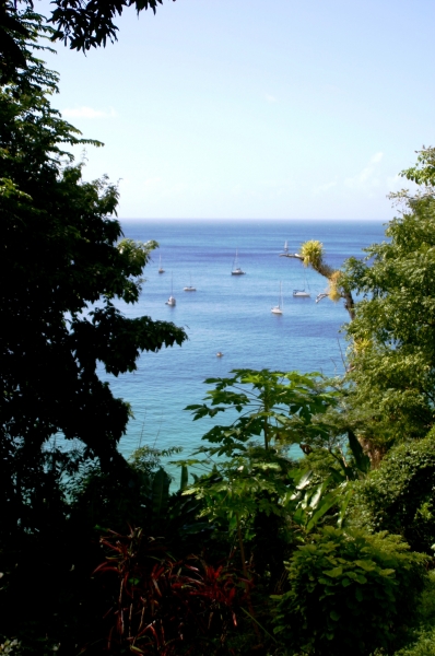 Tobago - Charlotteville (6)
