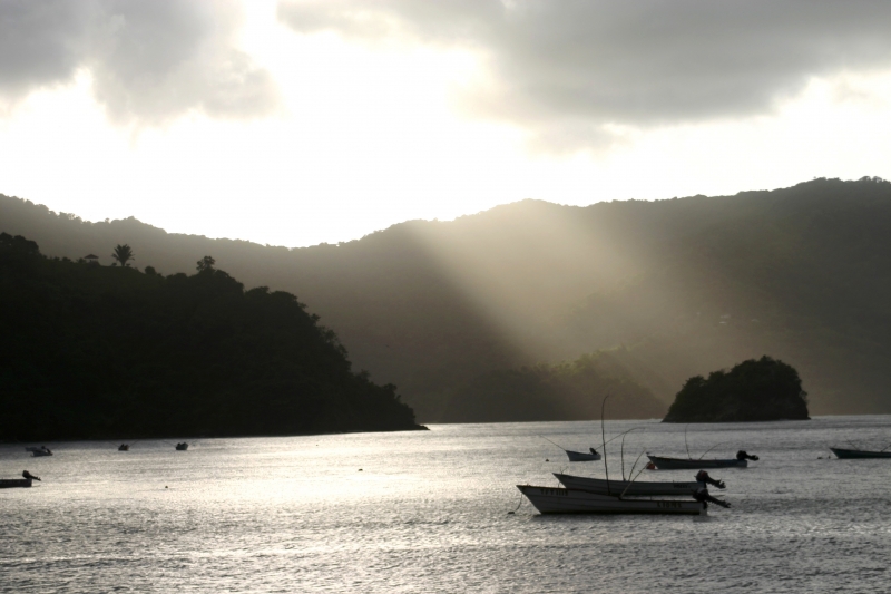 Tobago - Charlotteville (9)