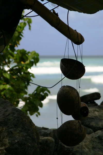 Tobago - Crownspoint (10)