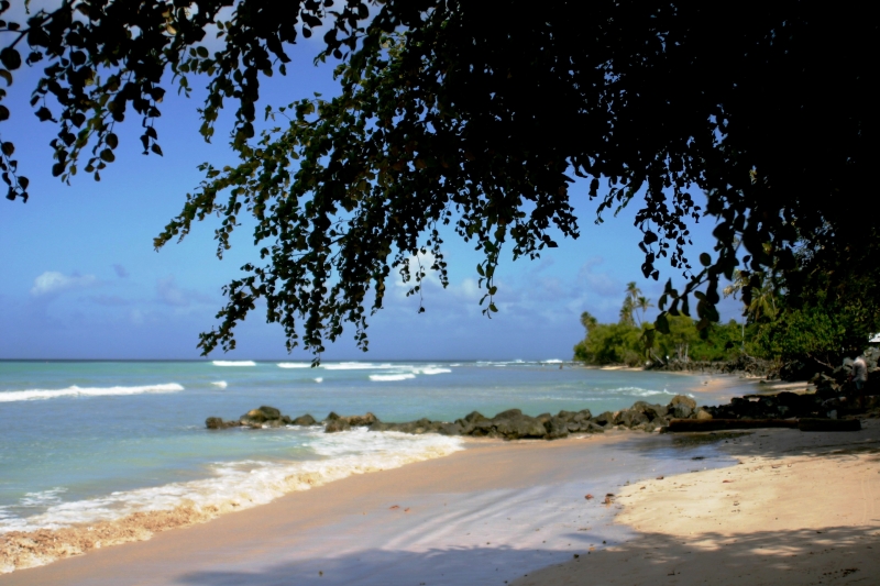 Tobago - Crownspoint (3)