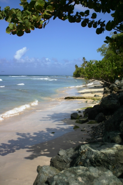 Tobago - Crownspoint (4)