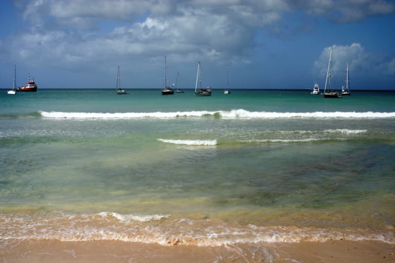 Tobago - Crownspoint (7)