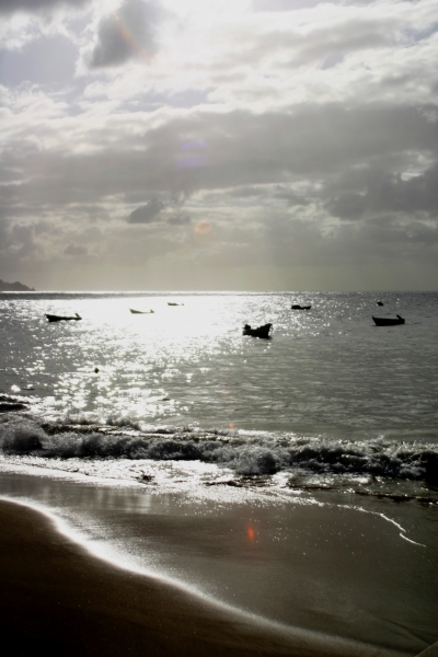 Tobago - in Castara (12)