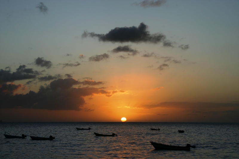 Tobago - in Castara (16)