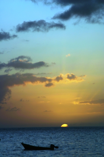 Tobago - in Castara (17)