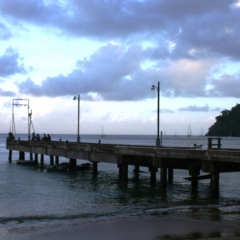 Tobago - Charlotteville (11)