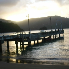 Tobago - Charlotteville (12)