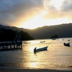 Tobago - Charlotteville (15)