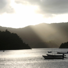 Tobago - Charlotteville (9)