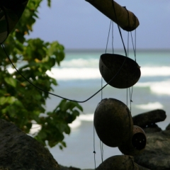 Tobago - Crownspoint (10)
