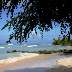 Tobago - Crownspoint (3)