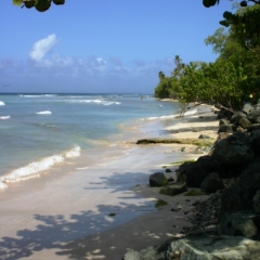Tobago - Crownspoint (4)