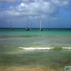 Tobago - Crownspoint (5)