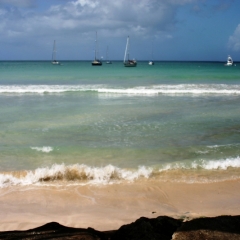 Tobago - Crownspoint (6)