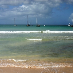 Tobago - Crownspoint (7)