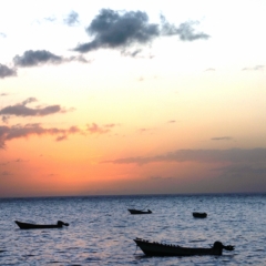 Tobago - in Castara (18)