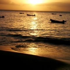 Tobago - in Castara (20)