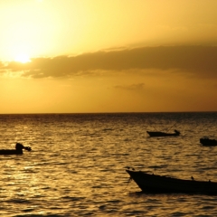 Tobago - in Castara (21)
