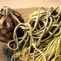 Tobago - in Castara (25)