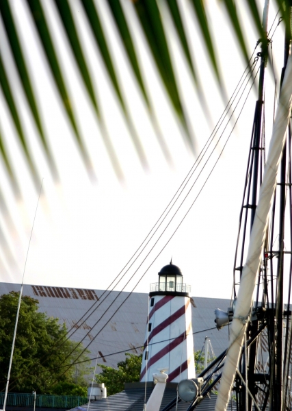 Trinidad - Chaguaramas (2)