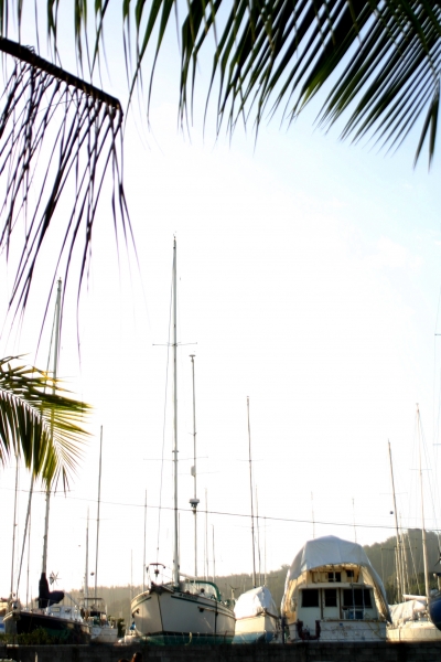 Trinidad - Chaguaramas (3)