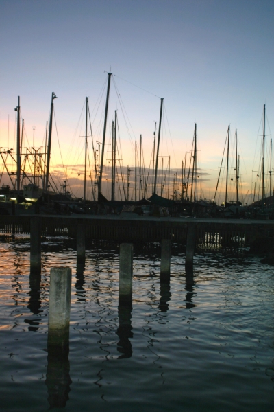 Trinidad - Chaguaramas (5)
