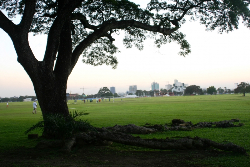 Trinidad - Port of Spain (1)