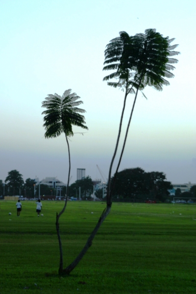 Trinidad - Port of Spain (3)