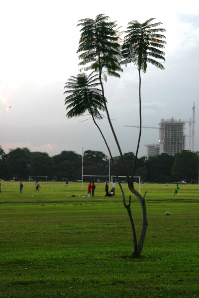Trinidad - Port of Spain (4)