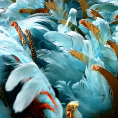 Trinidad - Carnaval (1)