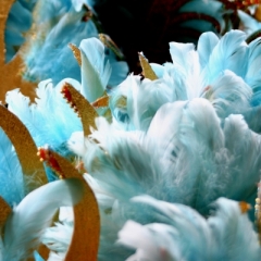 Trinidad - Carnaval (2)
