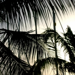 Trinidad - Chaguaramas (1)
