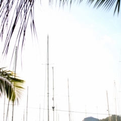 Trinidad - Chaguaramas (3)