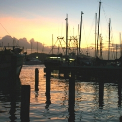 Trinidad - Chaguaramas (4)