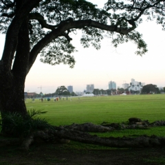 Trinidad - Port of Spain (1)