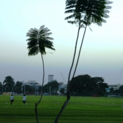 Trinidad - Port of Spain (3)