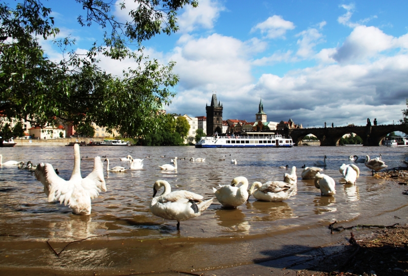 Tsjechie (165)