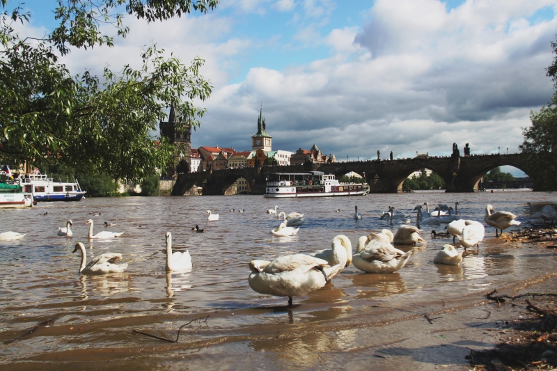 Tsjechie (167)