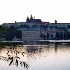 Tsjechie (146)