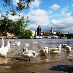 Tsjechie (165)