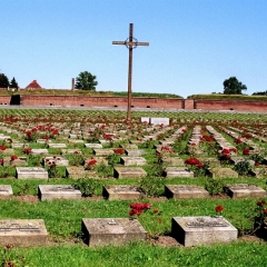 Tsjechie (25)