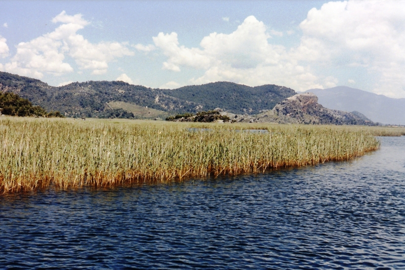 Turkije (30)