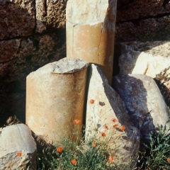 Turkije (22)