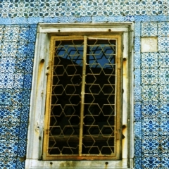 Turkije (39)