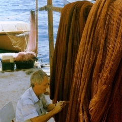Turkije (47)