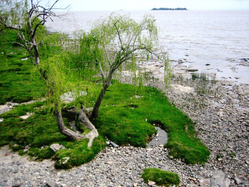 Uruguay (13)